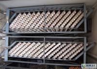 物美價廉，品質無憂 來自世界工廠網的優良柴雞蛋